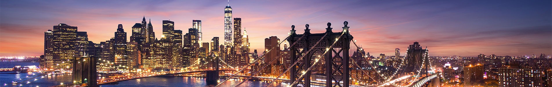 New York City Private Tours