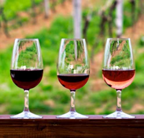 North Fork Long Island Winery Tours