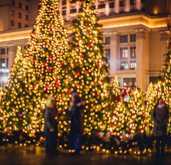 NYC’s Best Private Holiday Lights Tour