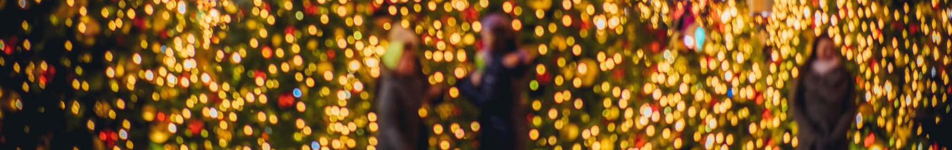 New York City Holiday Season Tour